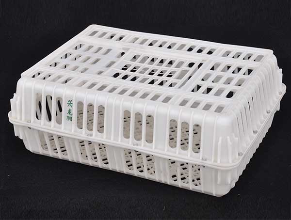 成鸡成鸭周转笼