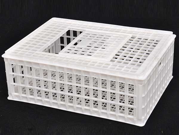 成鸡成鸭周转笼