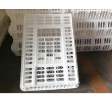 1626077599562078.jpg 1-200HG51H0-lp_220_202.jpg